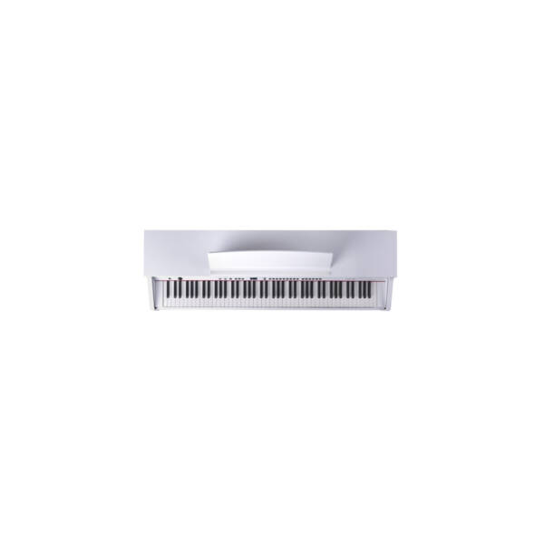 CDP 101 2 wp 2048x766