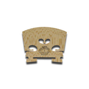 V 8L NT 000 (966)