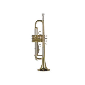 GWTR655 000 (1380)